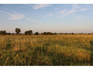 Tract 3 - LAND AUCTION - 440+/- Acres offered in 15 Tracts in Tulsa County